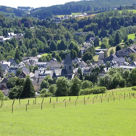 Apartment Im 1 Stock Bei Willingen, Cleaning Included Willingen (Upland)