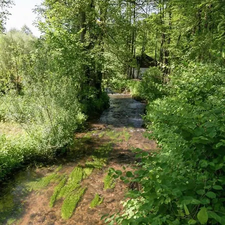 Im 1 Stock Bei Willingen, Cleaning Included Διαμέρισμα