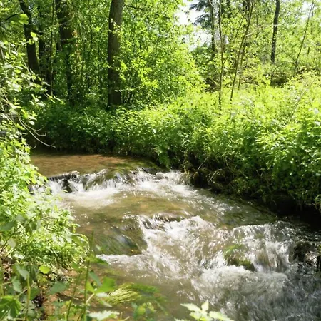Im 1 Stock Bei Willingen, Cleaning Included Apartment Willingen (Upland)
