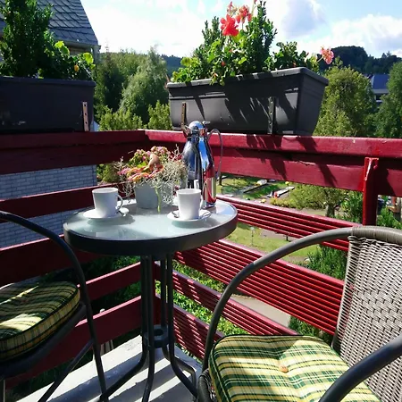 Apartment Im 1 Stock Bei Willingen, Cleaning Included